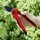 Gartenschere bis 18 mm mit Papageienkopf und 2-K-Griff